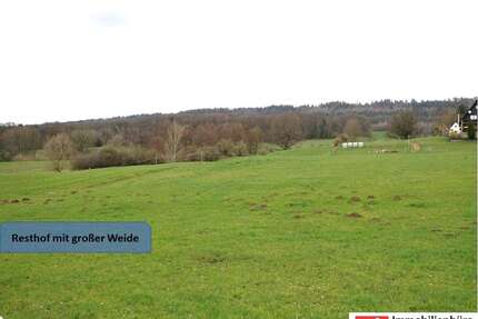 Haus zum Kaufen in Auetal 465.000,00 € 350 m²