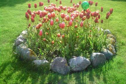 Grundstück zu verkaufen in Niedernhausen 295.000,00 € 360 m²