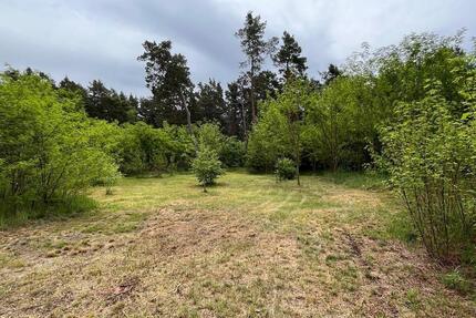 Natur pur - Freizeitgrundstücke mit altem Haus, nahe Berlin - Ziesar