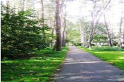 3- Zimmer-Wohnung in Karlsruhe Waldstadt - Welzheim