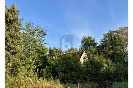 1049 QM PLATZ, BERLINNAH GELEGEN - Altlandsberg