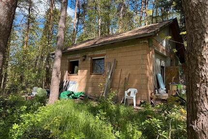 Wochenendhaus mit 4.500qm Wald in der Dübener Heide - Gräfenhainichen