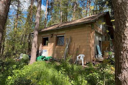 Wochenendhaus mit ca. 4.150qm Wald in der Dübener Heide - Gräfenhainichen