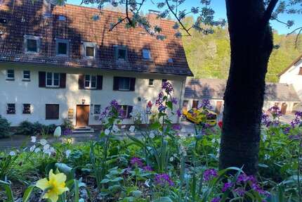 Wohnung zum Kaufen in Trausnitz 79.000,00 € 63 m²