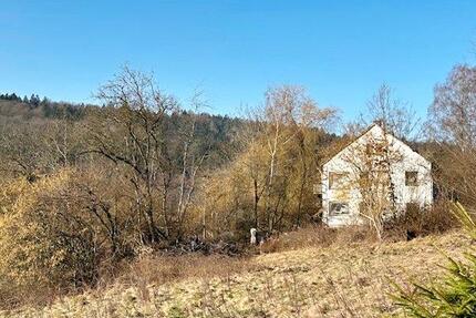 Historisches 3-Familienhaus (Außenbereich) für Individualisten - Bad Brückenau