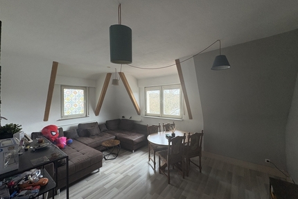 Direkt am Neckarufer wohnen – Dachgeschoss mit besonderem Flair - Stuttgart Bad Cannstatt Bad Cannstatt (Stadtbezirk)