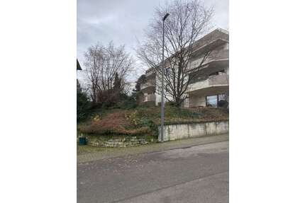 Wohnung zum Kaufen in Neustadt-Gimmeldingen 265.000,00 € 53 m²