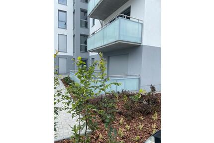 2 Raumwohnung mit Terrasse an der Marina - Frankfurt (Oder)