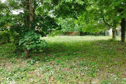 Baugrundstück in Potsdam-Bornstedt in absoluter Ruhe nahe Park SanssouciKrongut