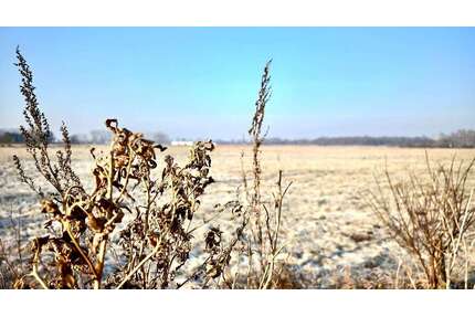 Grundstück zu verkaufen in Kremmen 199.000,00 € 1266 m²