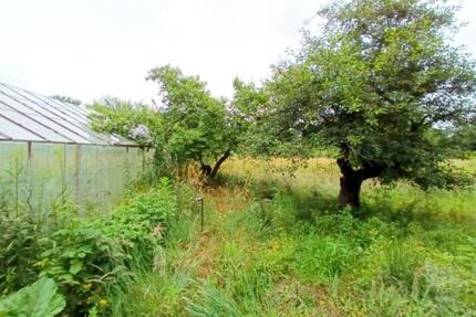 PACHTGARTEN GRUNDSTÜCK m. GEWÄCHSHAUS & TEICH STROM & WASSER - Schwielowsee