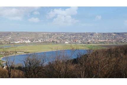 Ausblick auf die Weinberge, die Elbe & den Stausee - einmaliges Traumangebot! - Dresden Cossebaude