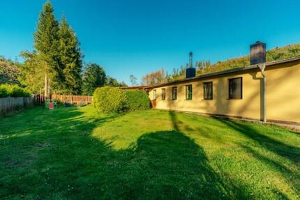 Ferienhaus Harz Alleinlage 6 Personen Hunde Fass-Sauna Wlan Ofen - Thale