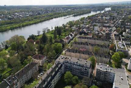 Wohnung zum Kaufen in Frankfurt am Main 239.000,00 € 53 m²