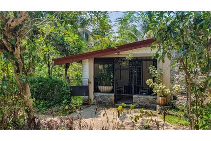 „Deine Tür in die tropische Wildnis“ - Drensteinfurt