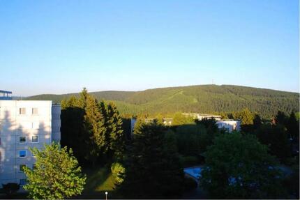 Wohnung in Goslar - Hahnenklee - 55.000,00&nbsp;EUR Kaufpreis, ca.&nbsp; 44,10&nbsp;m&sup2; in Goslar (PLZ: 38644) OS Hahnenklee-Bockswiese