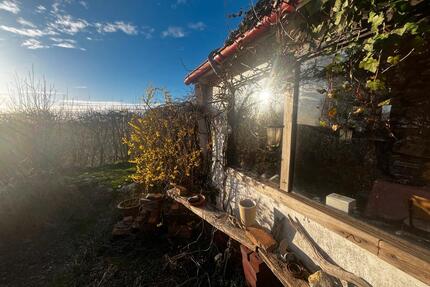 Garten in Randlage - Kleingartenverein Rosenthal e.V. - Greifswald