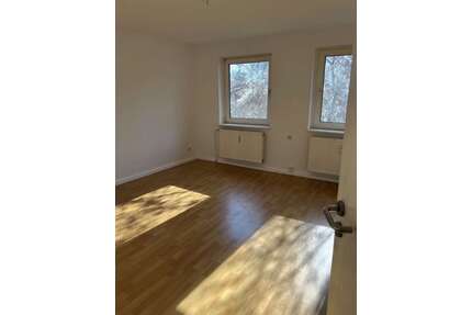 Wohnung zum Mieten in Salzgitter 330,00 € 50 m²