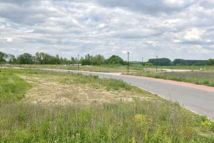 Grundstück zu verkaufen in Groß Stieten 82.550,00 € 598 m²