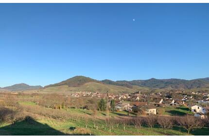 Helle ruhige 2 Zimmer Dachgeschoss-Wohnung mit großem Balkon - Bühl