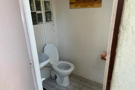 Garten immergrün Kleingartenverein - Salzgitter