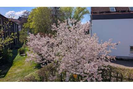 Wohnung zum Mieten in Olching 1.200,00 € 75 m²