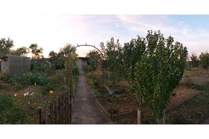 Schöner Garten (580 qm) mit Gartenhaus zu pachten - Bad Düben