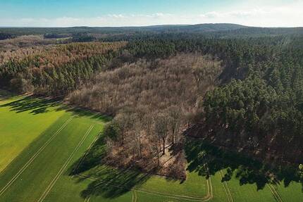 12,1 ha Forstliegenschaft mit Kiefer, Eiche und Rotbuche bei Gardelegen