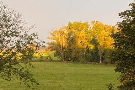3 Zimmerwohnung 85qm mit Blick auf Landschaftsschutzgebiet - Wesel Bislich
