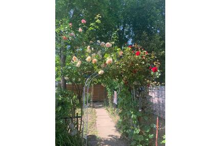 Sanierungschance in Top-Lage von Eschweiler – Gestalten Sie Ihr T