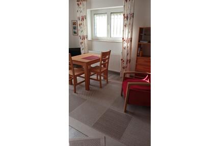 Helles Appartement - 350,00&nbsp;EUR Kaltmiete, ca.&nbsp; 27,00&nbsp;m&sup2; in Mayen (PLZ: 56727)
