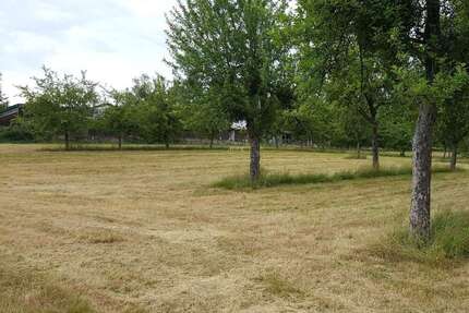 Grundstück zu verkaufen in Lindenfels 115.500,00 € 550 m²