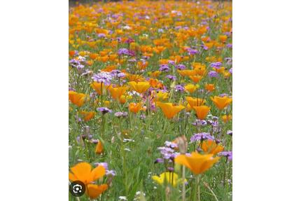 57 qm Wohnung mit WBS in Stadtlohn zu vermieten