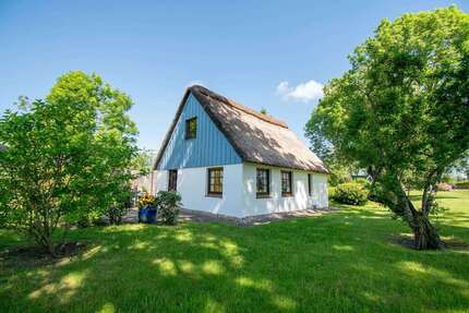 Haus zum Kaufen in Brokdorf 450.000,00 € 31.4 m²