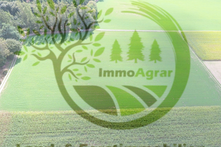 Grundstück in aletshausen 100.000,00 € 14230 m²