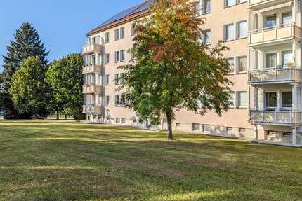 Wohnung zum Mieten in Freiberg 310,00 € 47 m²