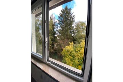 Möblierte 2 Zimmerwohnung in WalleBremen