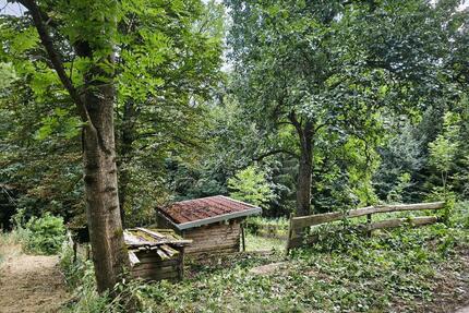 Garten mit Hütte in Kirchberg - 140,00&nbsp;EUR Kaltmiete, ca.&nbsp; 0,00&nbsp;m&sup2; in Kirchberg an der Murr (PLZ: 71737)