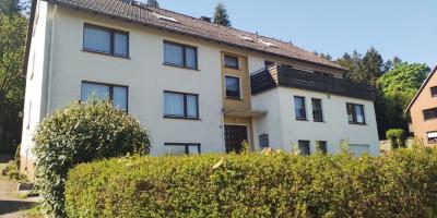 großzügige 2 Zimmer-Wohnung mit Terrasse in Neuhaus im Solling zu vermieten - Holzminden