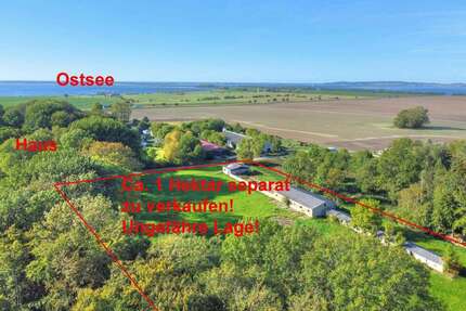 Haus zum Kaufen in Schaprode 475.000,00 € 178.2 m²