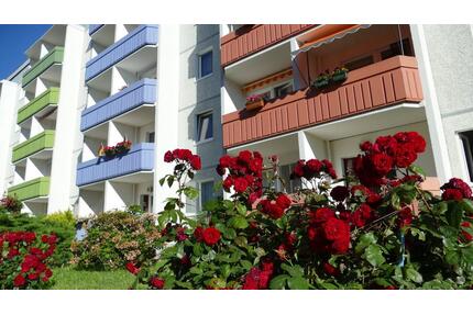 3 Raum Wohnung mit Blick ins Grüne - Limbach-Oberfrohna