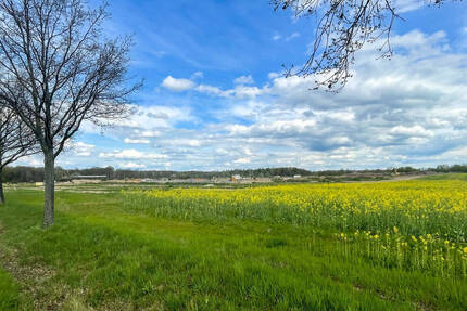 Etwa 7.500 m² Gewerbegrundstück direkt an der A14 und B107! - Grimma