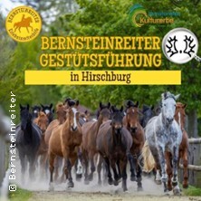 Gestütsführung Hirschburg / Erlebnisreiterhof Bernsteinreiter