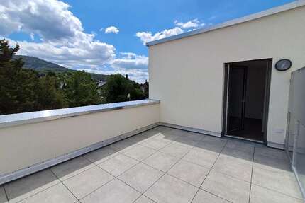 Wohnung zum Mieten in Alsbach-Hähnlein Alsbach 670,00 € 42 m² - Alsbach-Hähnlein / Alsbach