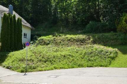 Grundstück zu verkaufen in Lichtenstein 120.000,00 € 545 m²