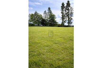 NATUR PUR - TRAUMHAFTE LAGE AM FELDRAND - Lalendorf