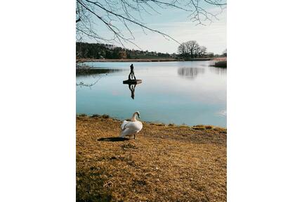 3 Raum Wohnung in Hainspitz ab 01.07.2026 - Eisenberg