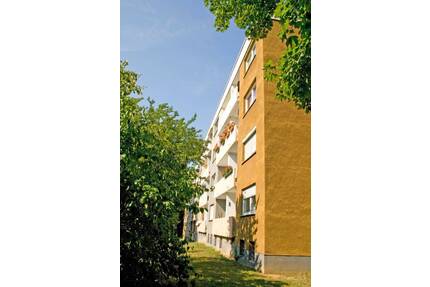 Komplett renovierte 3-Zimmerwohnung im Schelmengraben ab sofort! - Wiesbaden Dotzheim
