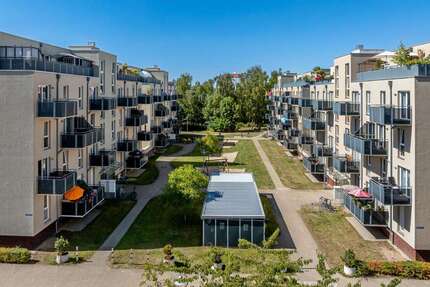 Wohnung zum Mieten in Braunschweig 450,00 € 42.34 m²