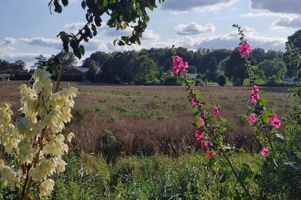 stadtnahes Wohnen in Feldrandlage - Quarnbek